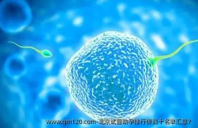 北京试管助孕排行榜前十名单汇总？