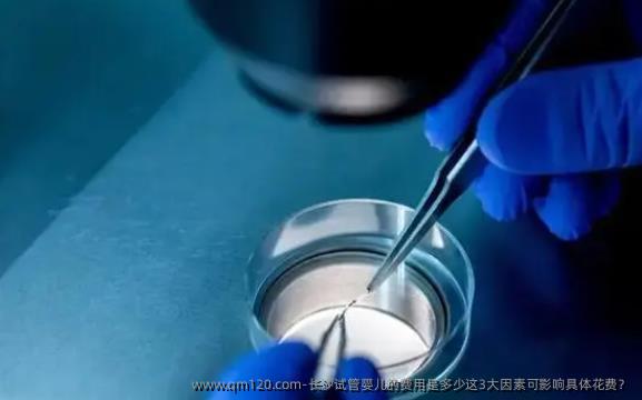 长沙试管婴儿的费用是多少这3大因素可影响具体花费？