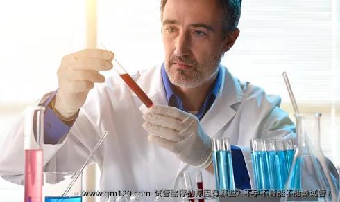 试管胎停的原因有哪些？不孕不育能不能做试管？
