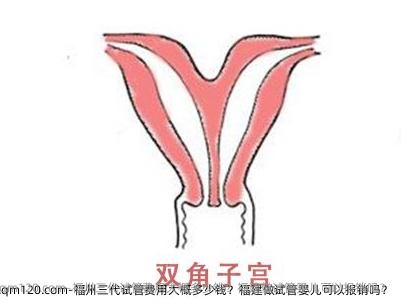 福州三代试管费用大概多少钱？福建做试管婴儿可以报销吗？