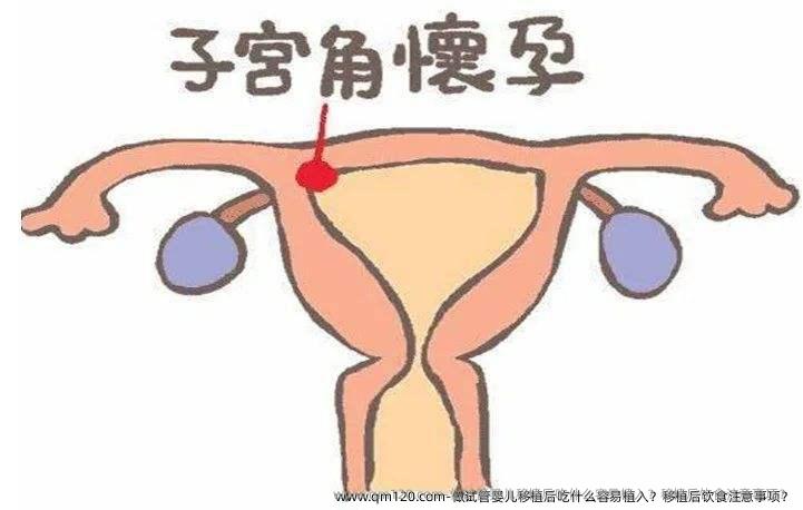 做试管婴儿移植后吃什么容易植入？移植后饮食注意事项？