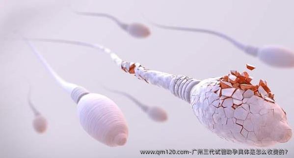 广州三代试管助孕具体是怎么收费的？