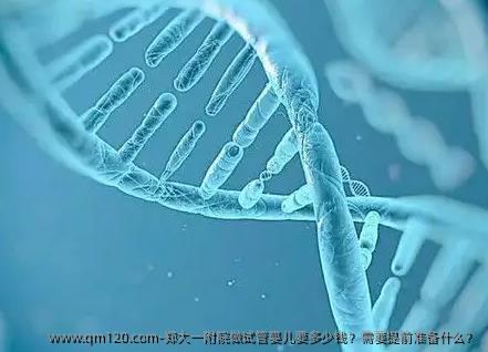郑大一附院做试管婴儿要多少钱？需要提前准备什么？