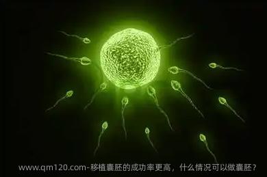 移植囊胚的成功率更高，什么情况可以做囊胚？