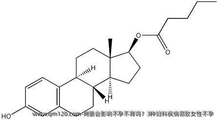 烤肠会影响不孕不育吗？3种妇科疾病易致女性不孕