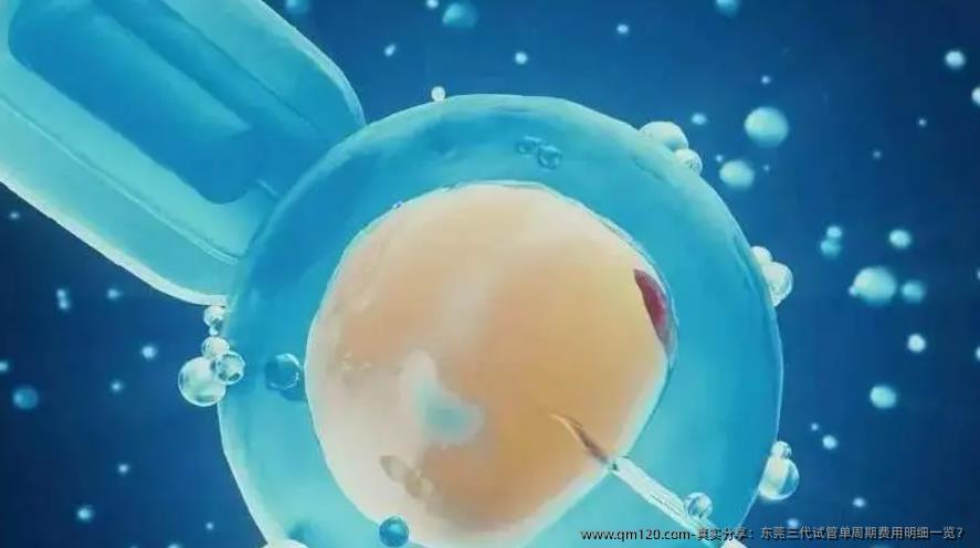 真实分享：东莞三代试管单周期费用明细一览？