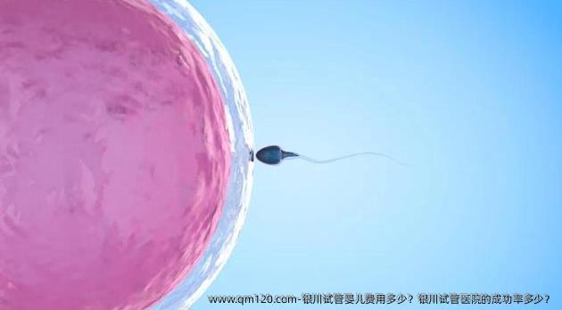 银川试管婴儿费用多少？银川试管医院的成功率多少？