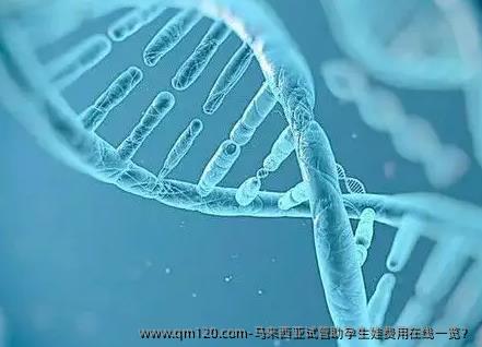 马来西亚试管助孕生娃费用在线一览？