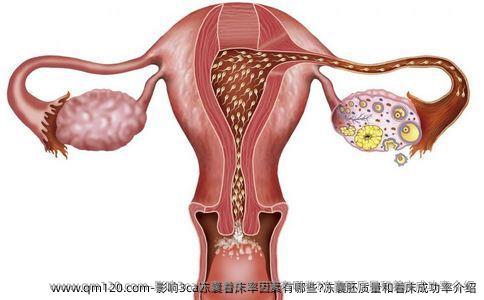 影响3ca冻囊着床率因素有哪些?冻囊胚质量和着床成功率介绍