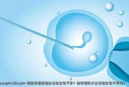 哪些卵巢疾病会导致女性不孕？输卵管积水会导致女性不孕吗？