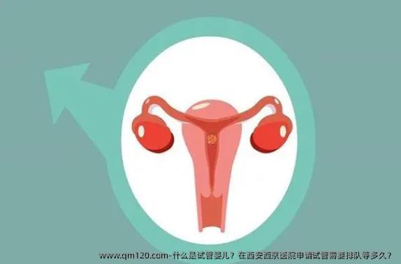什么是试管婴儿？在西安西京医院申请试管需要排队等多久？