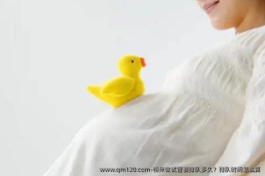 柳州做试管要排队多久？排队时间怎么算