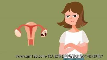女人试管促排后卵泡多大可以移植？