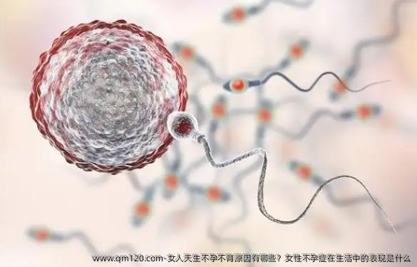 女人天生不孕不育原因有哪些？女性不孕症在生活中的表现是什么
