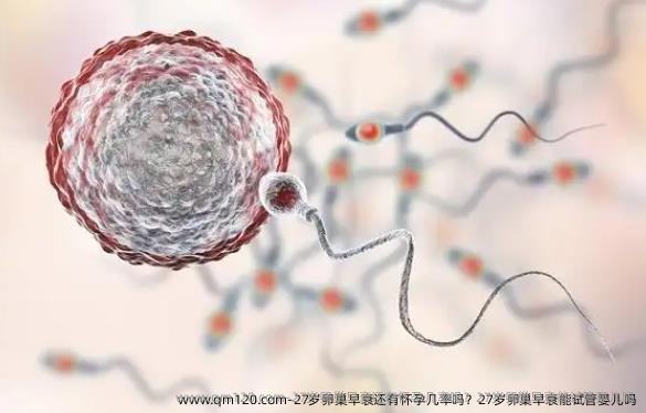 27岁卵巢早衰还有怀孕几率吗？27岁卵巢早衰能试管婴儿吗