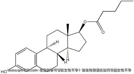 生活琐事可导致女性不孕？滴虫性阴道炎如何引起女性不孕