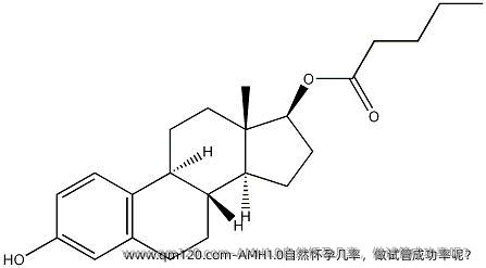 AMH1.0自然怀孕几率，做试管成功率呢？