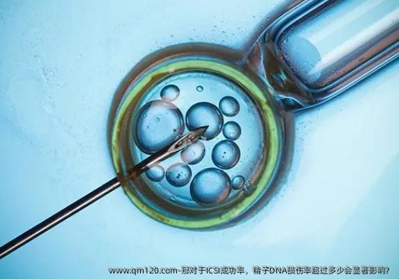 那对于ICSI成功率，精子DNA损伤率超过多少会显著影响？