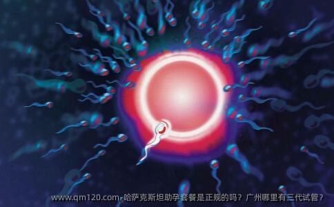 哈萨克斯坦助孕套餐是正规的吗？广州哪里有三代试管？