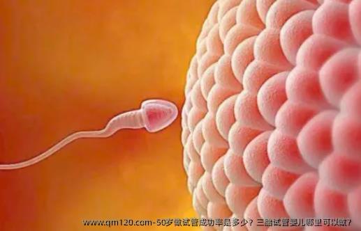 50岁做试管成功率是多少？三胎试管婴儿哪里可以做？