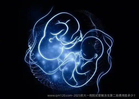 2025郑大一附院试管解冻生第**费用是多少？