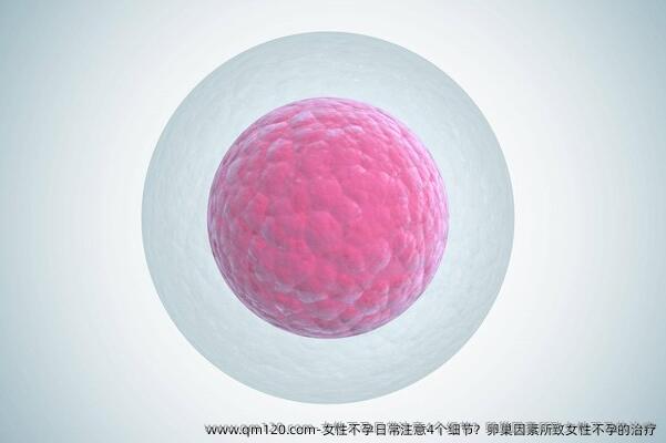 女性不孕日常注意4个细节？卵巢因素所致女性不孕的治疗