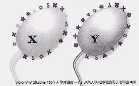 100个人里才做成一个？过来人谈42岁试管婴儿实际成功率