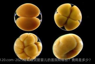 2025湖北做试管婴儿的医院有哪些？费用是多少？