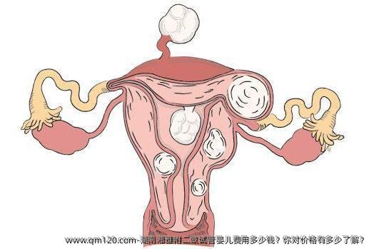 湖南湘雅附二做试管婴儿费用多少钱？你对价格有多少了解？