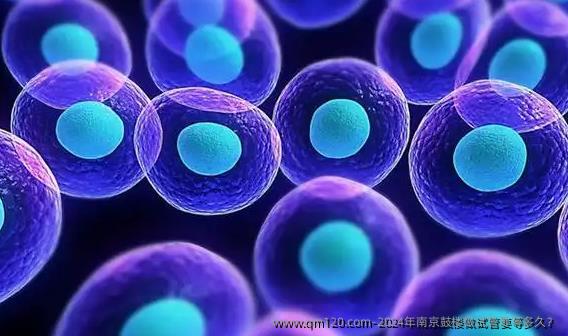 2024年南京鼓楼做试管要等多久？