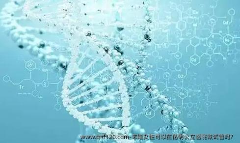 未婚女性可以在昆明公立医院做试管吗？