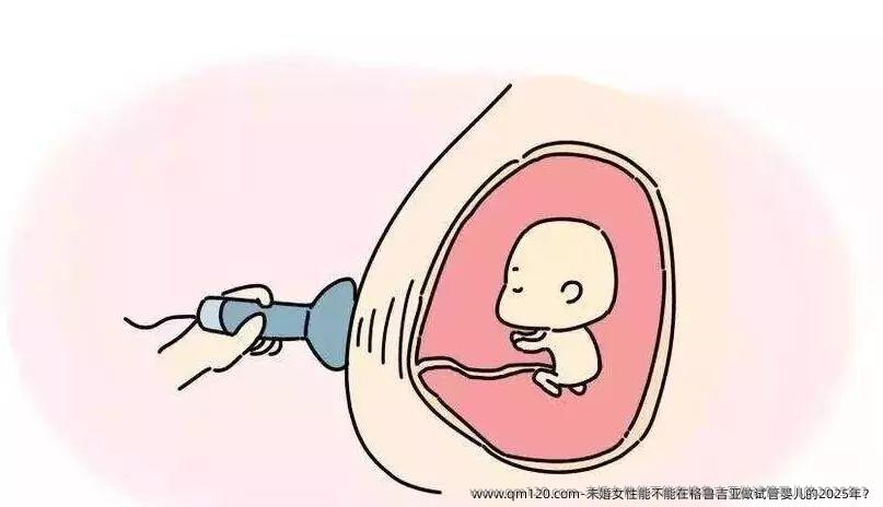 未婚女性能不能在格鲁吉亚做试管婴儿的2025年？