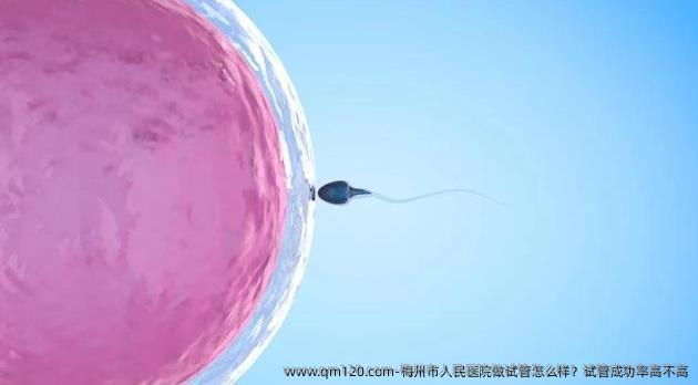 梅州市人民医院做试管怎么样？试管成功率高不高
