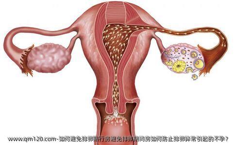 如何避免排卵期行房避免排卵期同房如何防止排卵异常引起的不孕？