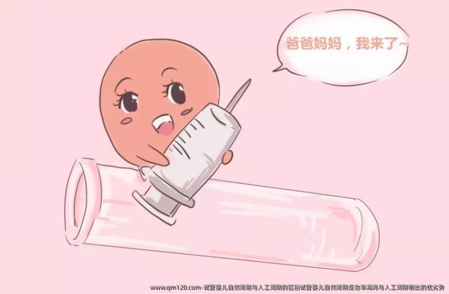 试管婴儿自然周期与人工周期的区别试管婴儿自然周期成功率高吗与人工周期相比的优劣势