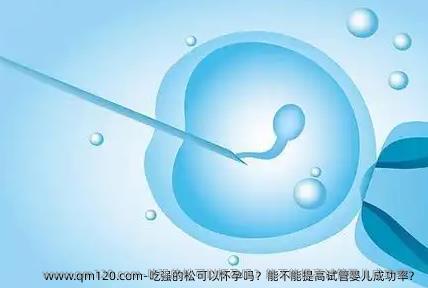 吃强的松可以怀孕吗？能不能提高试管婴儿成功率？