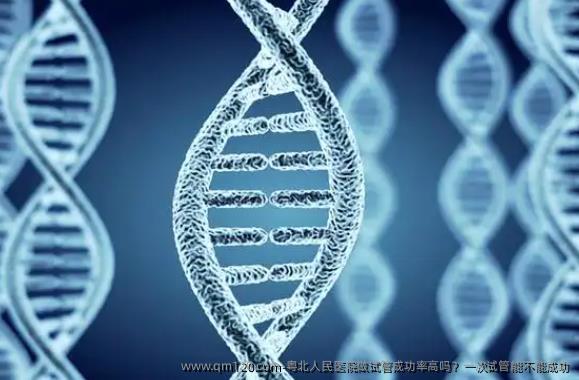 粤北人民医院做试管成功率高吗？一次试管能不能成功