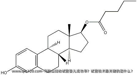 马鞍山妇幼试管婴儿成功率？试管技术最关键的是什么？