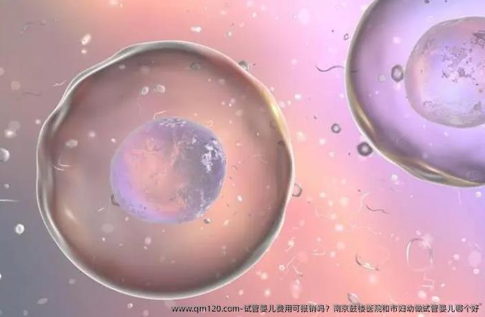 试管婴儿费用可报销吗？南京鼓楼医院和市妇幼做试管婴儿哪个好