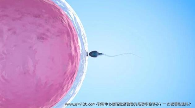 邯郸中心医院做试管婴儿成功率是多少？一次试管能成吗？