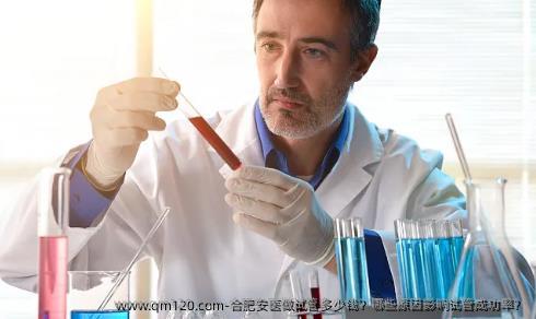 合肥安医做试管多少钱？哪些原因影响试管成功率？