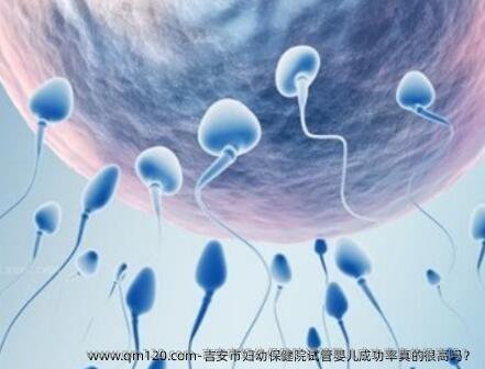 吉安市妇幼保健院试管婴儿成功率真的很高吗？