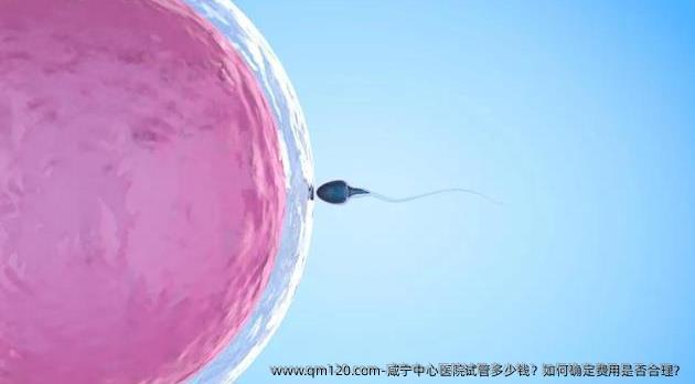 咸宁中心医院试管多少钱？如何确定费用是否合理？