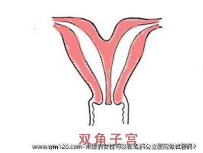 未婚的女性可以在成都公立医院做试管吗？