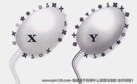 做试管不排卵什么原因导致的 如何调理？