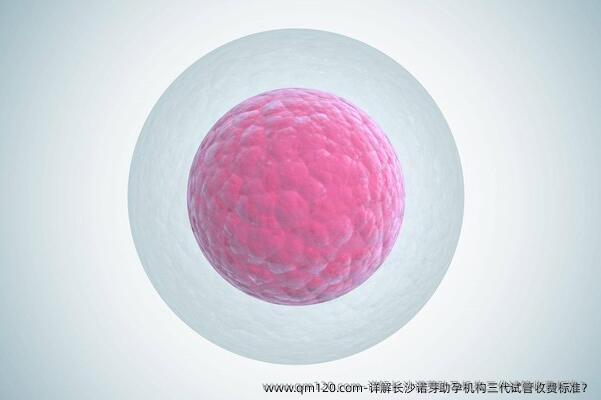 详解长沙诺芽助孕机构三代试管收费标准？