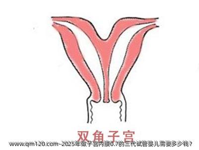 2025年做子宫内膜0.7的三代试管婴儿需要多少钱？