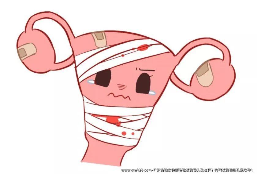 广东省妇幼保健院做试管婴儿怎么样？内附试管费用及成功率！