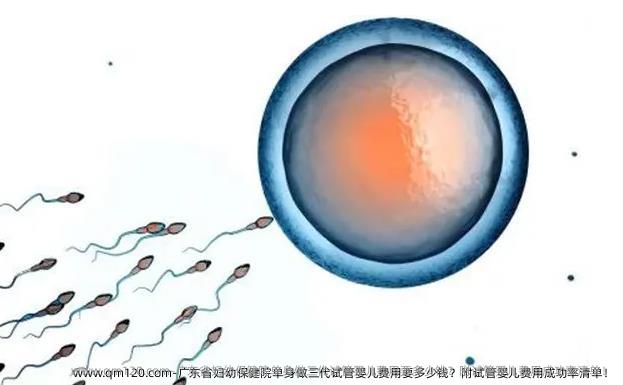 广东省妇幼保健院单身做三代试管婴儿费用要多少钱？附试管婴儿费用成功率清单！