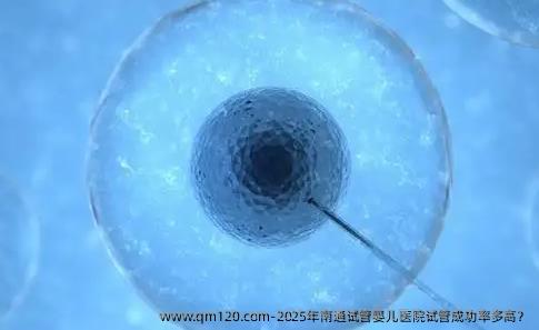 2025年<a href=